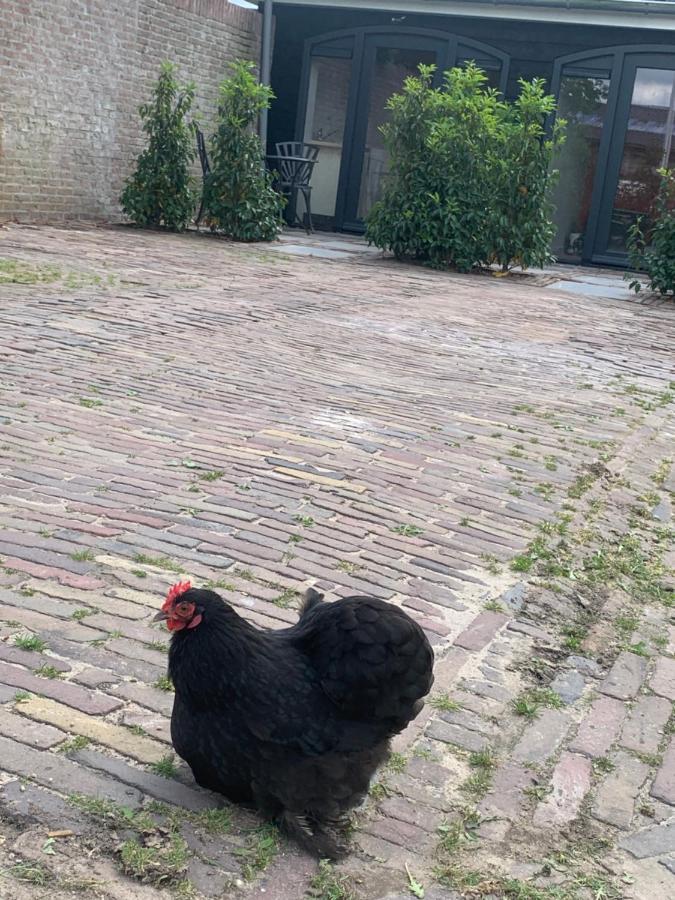 Het Dijkje Utrecht Exterior foto